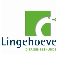 Lingehoeve Diergeneeskunde Paarden
